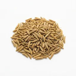 Cumin Seeds recipes