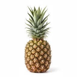 Pineapple recipes