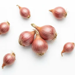 Shallot recipes